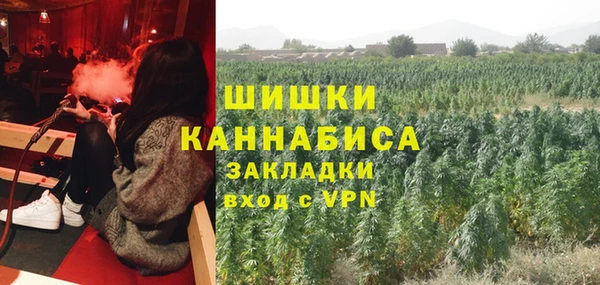 твердый Абаза