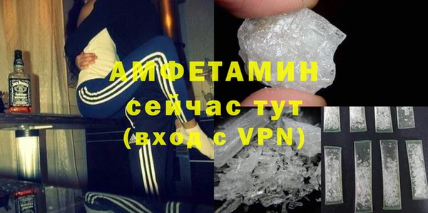 твердый Абаза