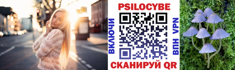 закладки  Серпухов  Псилоцибиновые грибы мухоморы 