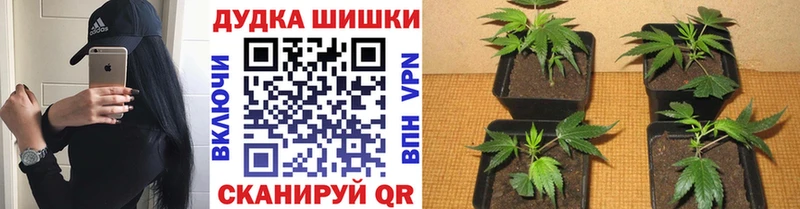 Марихуана Ganja  Серпухов 